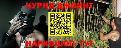 дживик Кингисепп