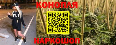 дживик Кингисепп