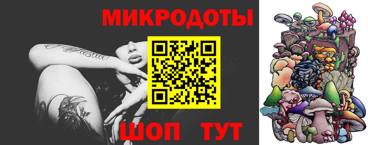 Галлюциногенные грибы Psilocybe  Галлюциногенные грибы Psilocybine cubensis  Вход с VPN  Костомукша 